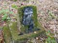 007